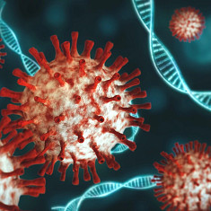 Cell and gene therapy.