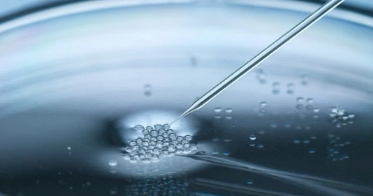 Cell therapy webinar article