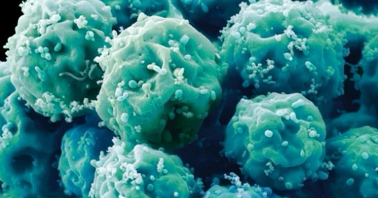 Gene therapy research insights