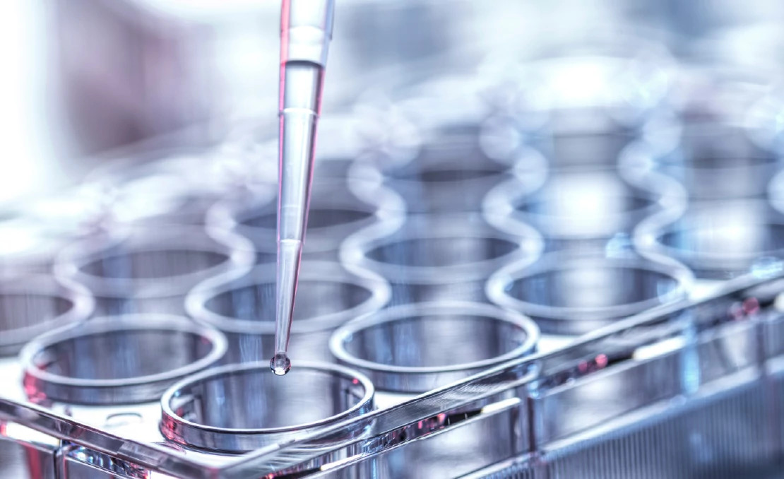lab samples