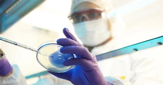 Antimicrobial resistance research laboratory