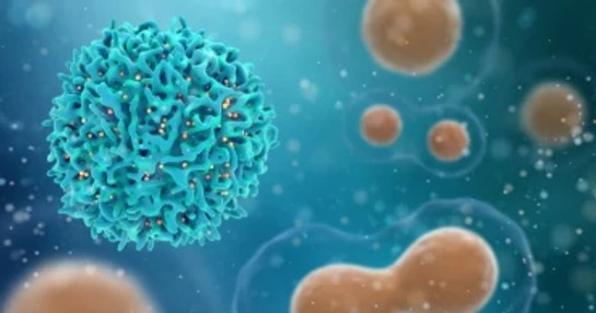 Autologous cellular therapy for cancer