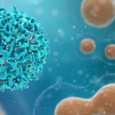 Autologous cellular therapy for cancer