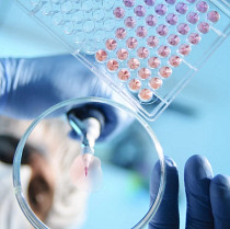 Cell therapy manufacturing quality control