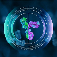 biosimilars and oncology