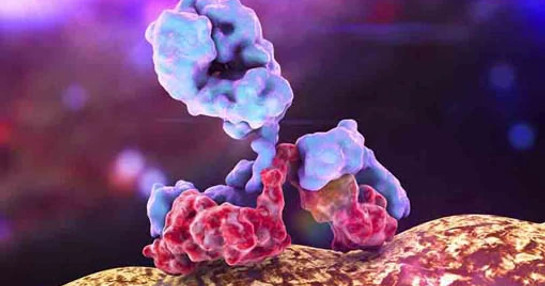 biosimilar molecule