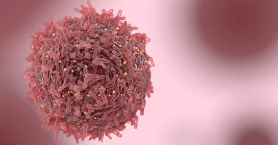 Cancer cell research visualization