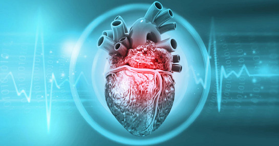 cardiovascular