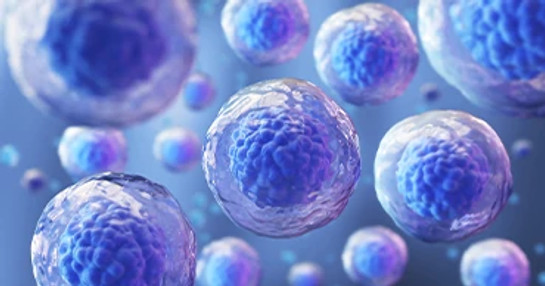 Therapeutic gene editing research