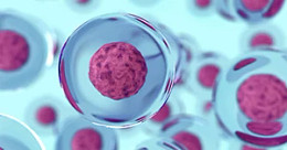 Biological research visual element
