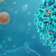 Cell gene therapy ebook