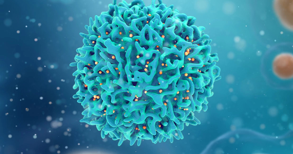 Physician reviewing cancer treatment protocols