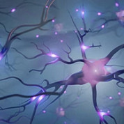 Central nervous system research with digital biomarkers