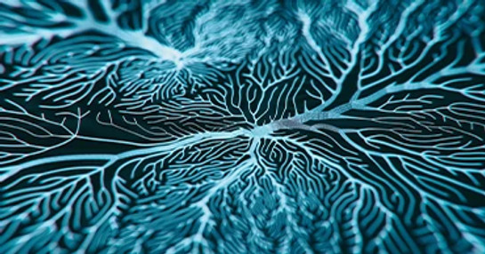 Central nervous system therapies visual