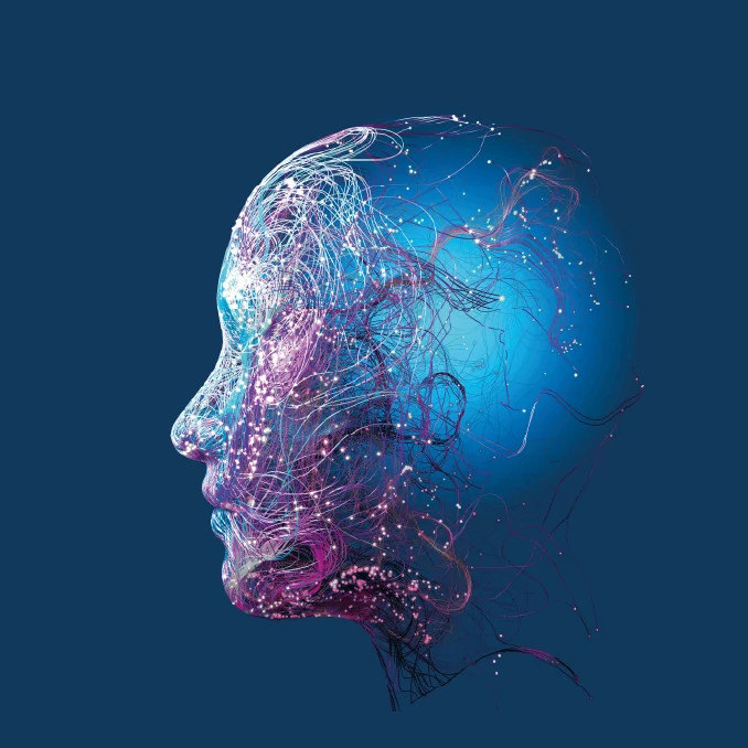 brain