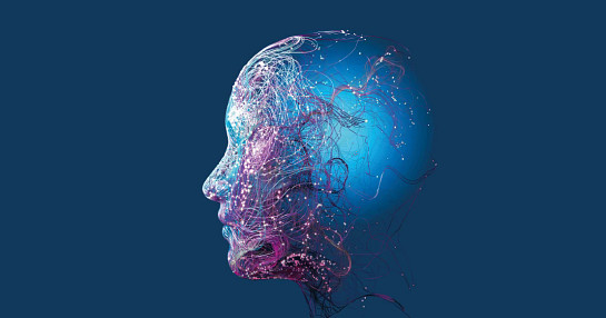 brain