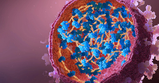 COVID-19 virus cross-section visualization