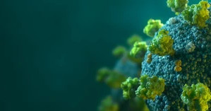 Cardiovascular risk factors during viral outbreaks