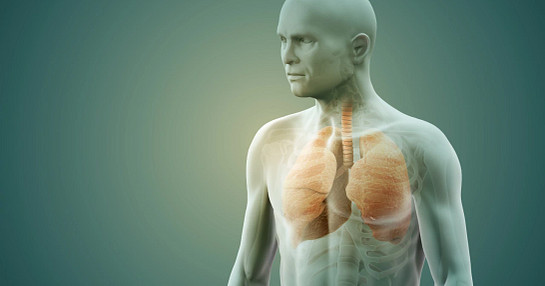 Lung disease research findings