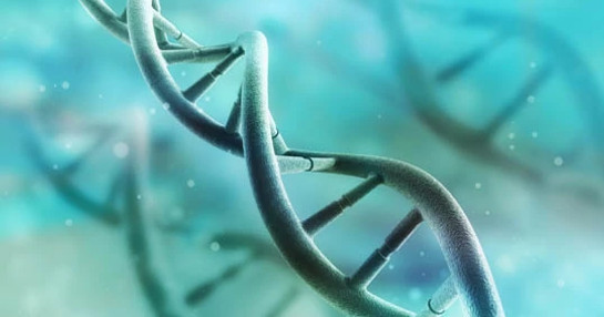 DNA structure for gene therapy
