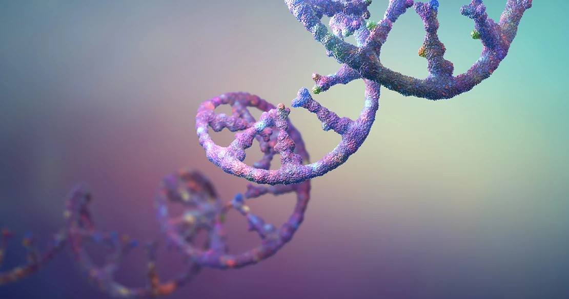 oligonucleotides