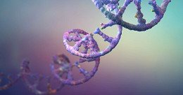 oligonucleotides
