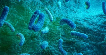 Vaccine epidemic prevention strategies