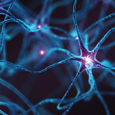 precision medicine_rare diseases_spotlight_thumbnail