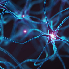precision medicine_rare diseases_spotlight_thumbnail