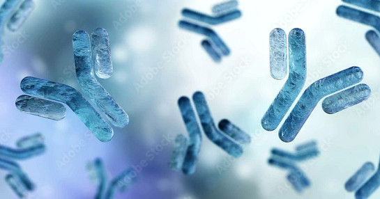 immunogenicity