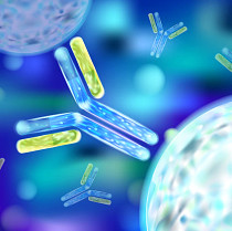 immunogenecity