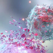 Cancer immunotherapy treatment process