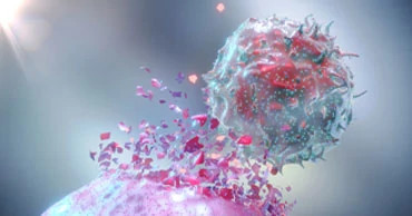 Cancer immunotherapy treatment process