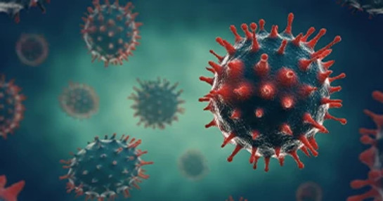 Microscopic view of diseased cellular structure