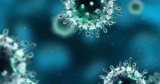 Microscopic view of infectious disease pathogens