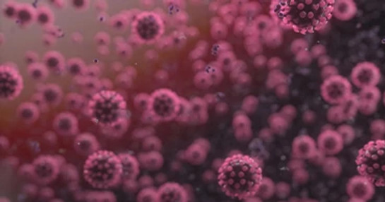 Cellular infection research visual