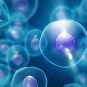 flow cytometry