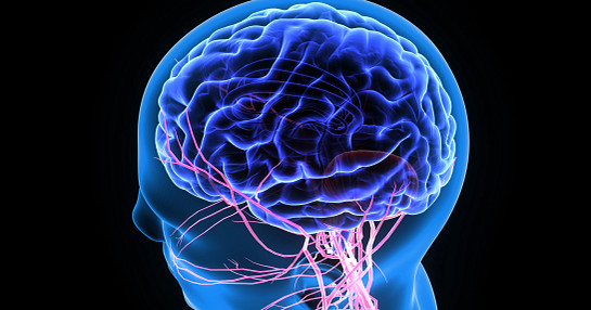 Brain imaging for CNS research