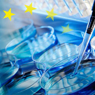 IVDR technical file preparation