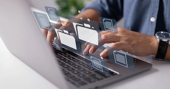 Virtual document management system view