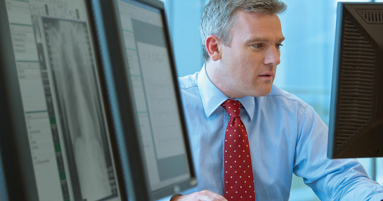 Researcher working on regulatory documents