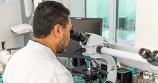 Researcher examining cell therapies