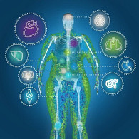 Obesity 2025 insights image