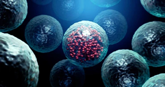 Pathogenic microorganisms microscopic view