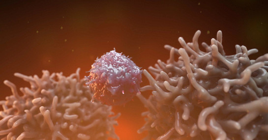 Natural killer cells in research