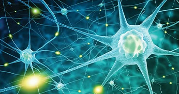 Neurodegenerative disease research