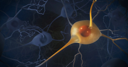 Neuron research in clinical studies