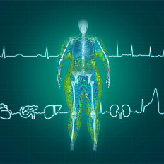 obesity scan person
