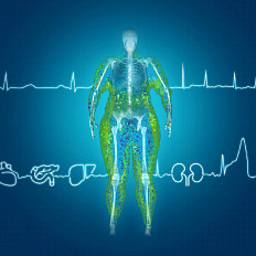 obesity_scan_icons