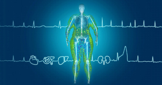 obesity_scan_icons